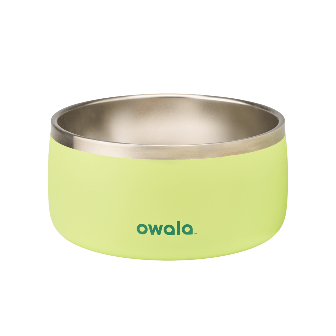 Pet Bowl - Second Set 39 gjjzf