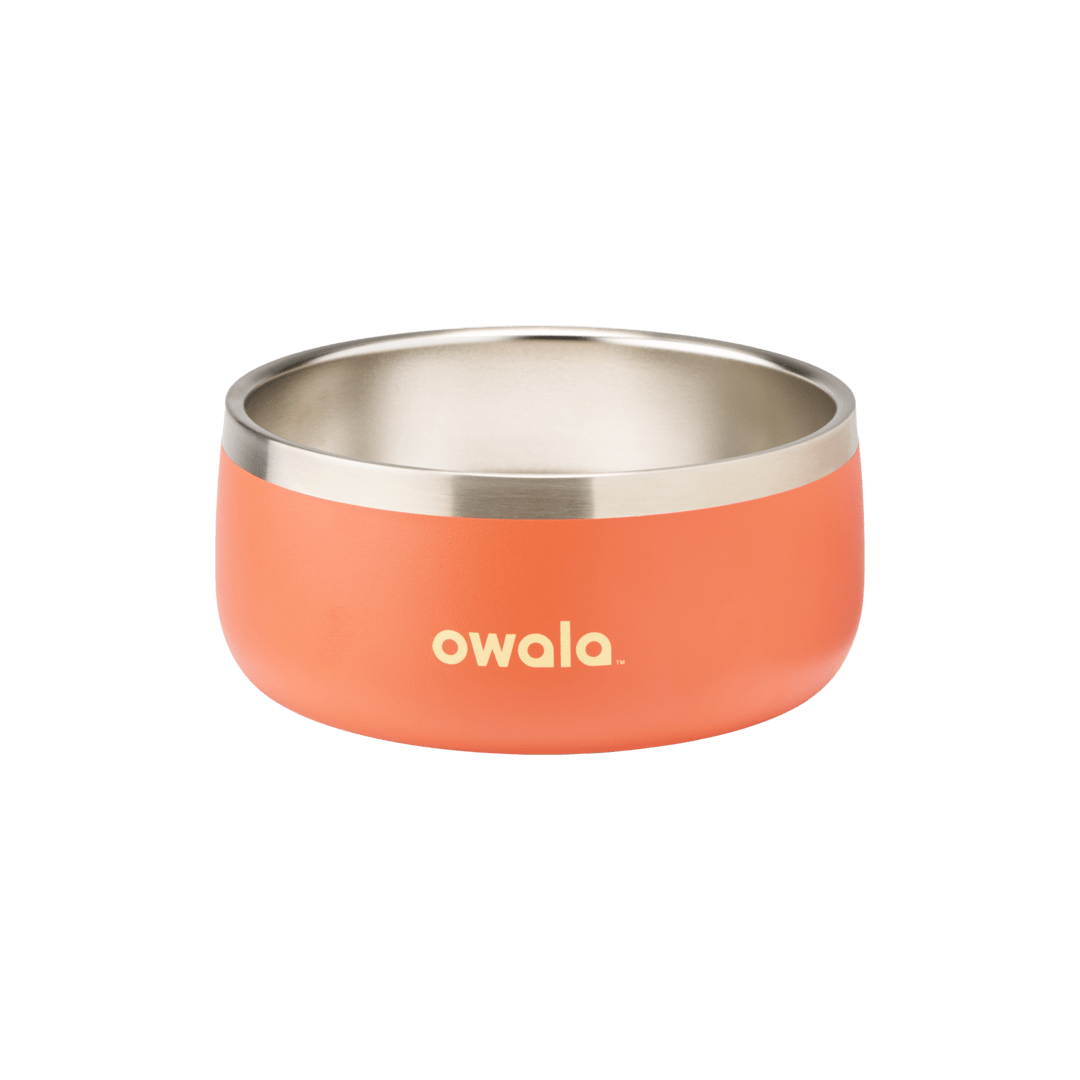 Pet Bowl zq32t