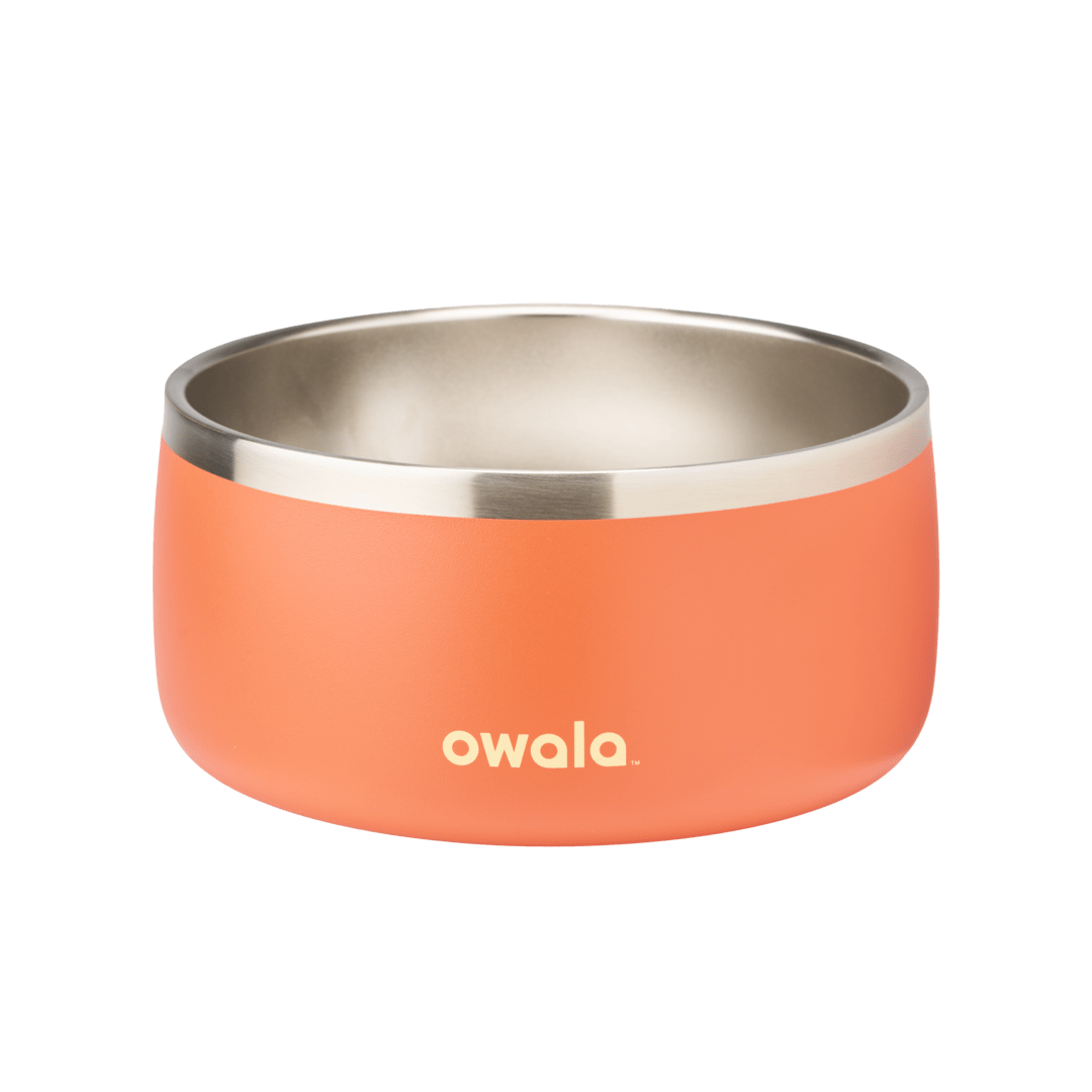 Pet Bowl zq32t