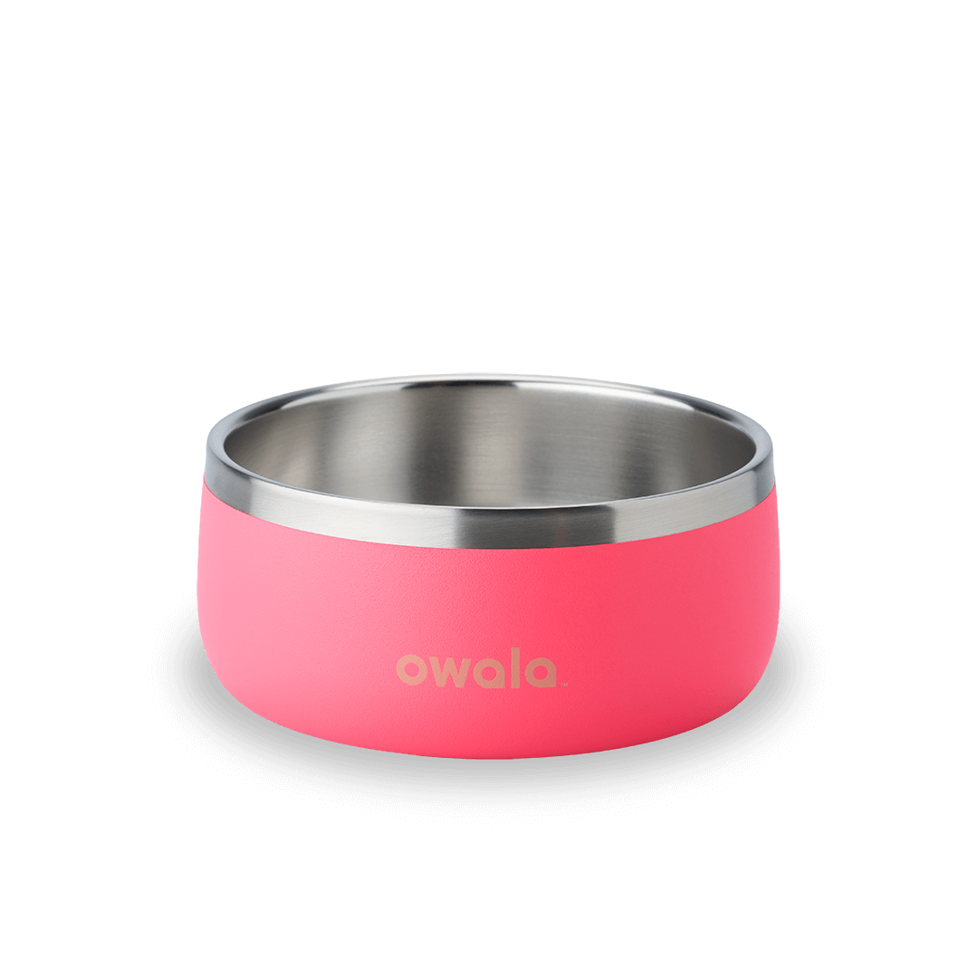 Pet Bowl zq32t