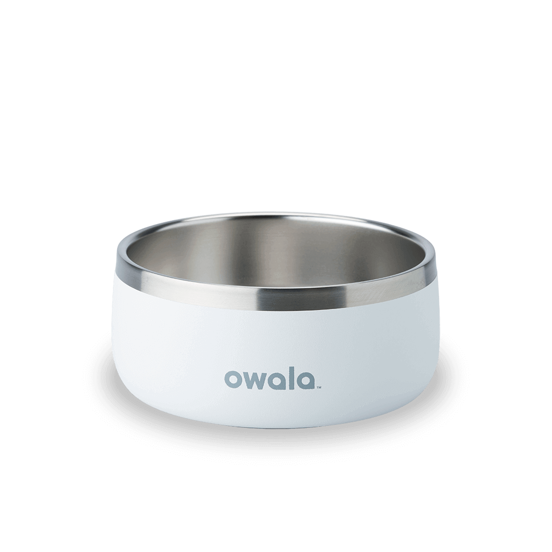 Pet Bowl zq32t